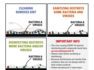 clean sanitize disinfect
