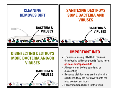 clean sanitize disinfect