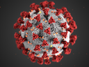 SARS-CoV-2 virus particle with red spike proteins on a gray, textured surface