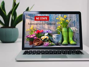 laptop with garden blog on screen