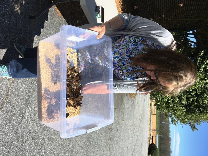 brooder box
