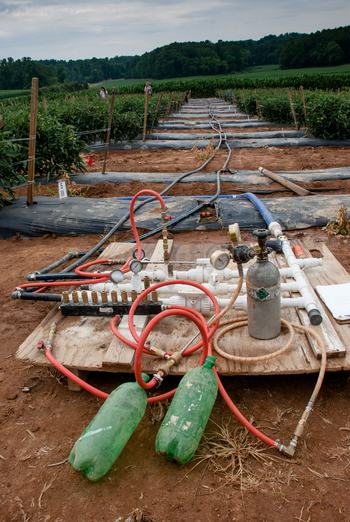 Experimental chemigation setup with two-liter bottles, PVC pipes, and irrigation lines controlled from a central plywood board