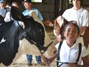 girl with dairy cow
