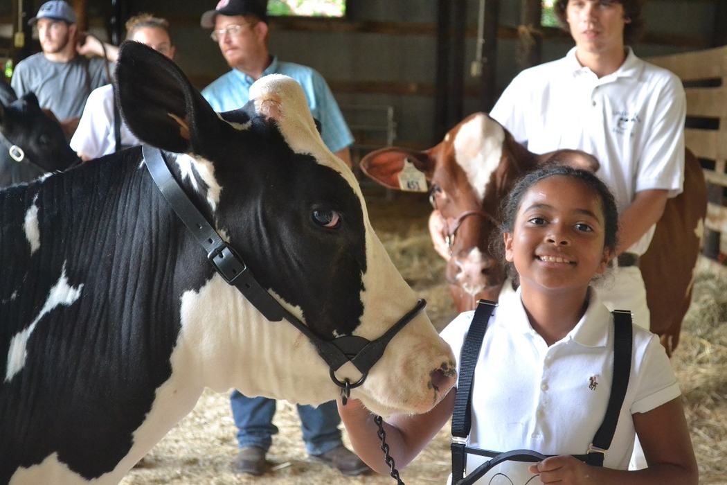 girl with dairy cow