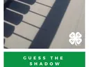 railing shadow photo