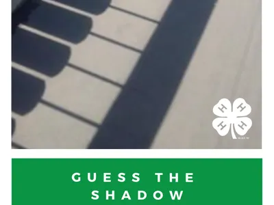 railing shadow photo