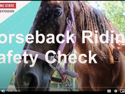 Horse with halter and girl braiding mane; text "Horseback Riding Safety Check" and NC State Extension