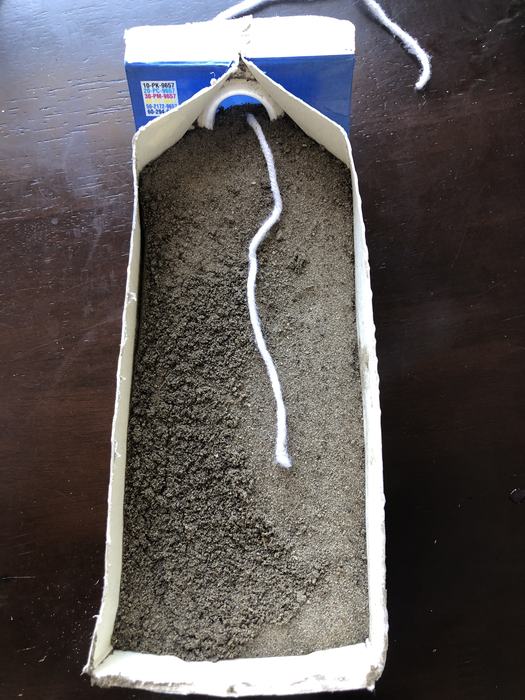 Soil in the bottom of the carton
