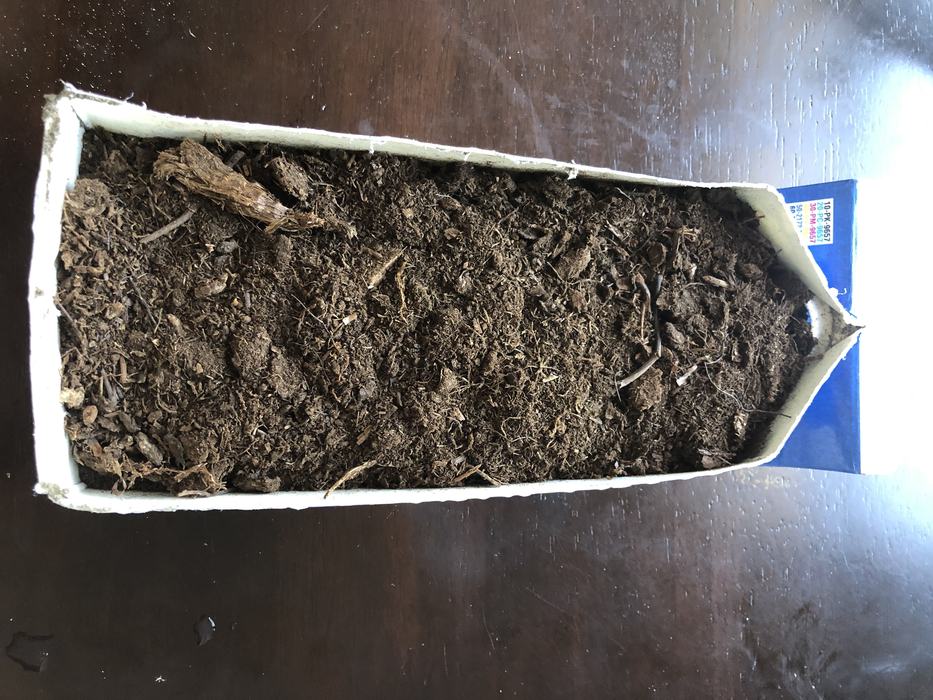 Carton filled with soil and peat moss
