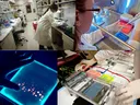 Kerns lab group