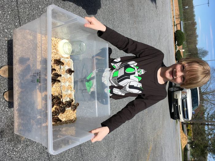 Levi with brooder box