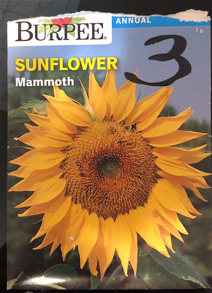 Mammoth Seed Pack - Front