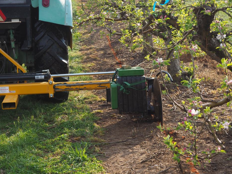 root pruning