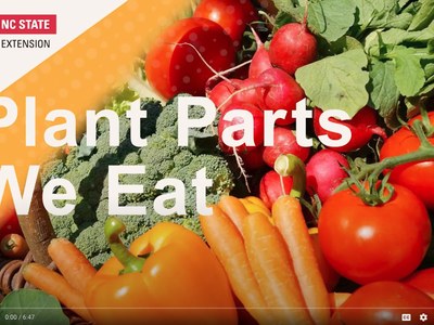 Broccoli, tomatoes, carrots, radishes, peppers with text "Plant Parts We Eat" and NC State logo