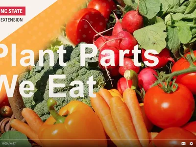 Broccoli, tomatoes, carrots, radishes, peppers with text "Plant Parts We Eat" and NC State logo
