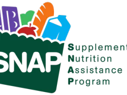 SNAP logo: green grocery bag with produce and milk; text "SNAP" and "Supplemental Nutrition Assistance Program"