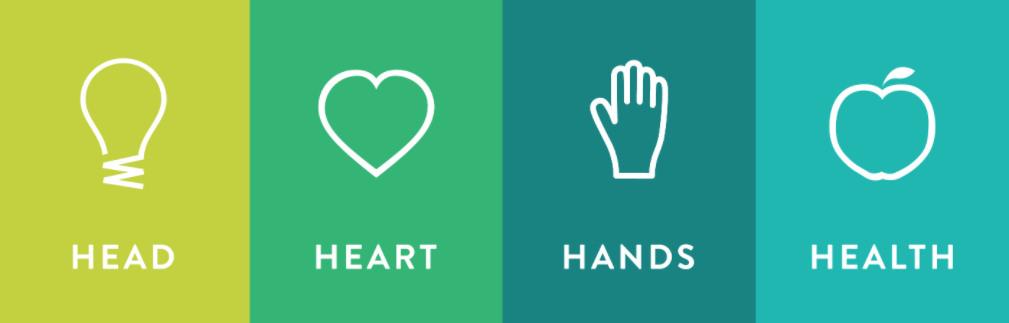 Head, Heart, Hands, Health banner