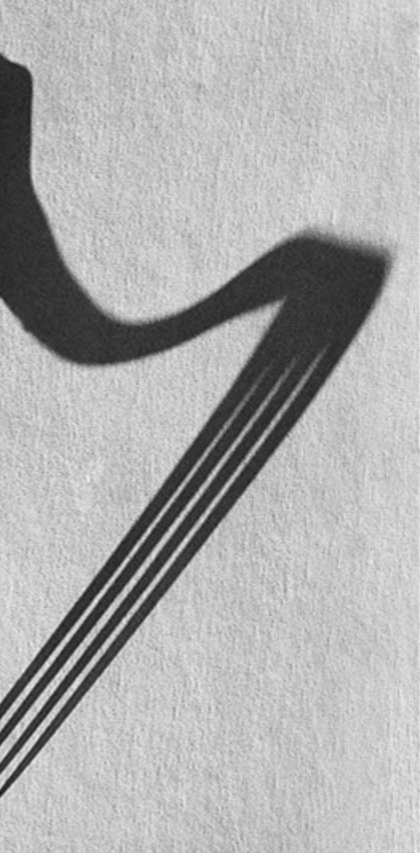 shadow photo 4