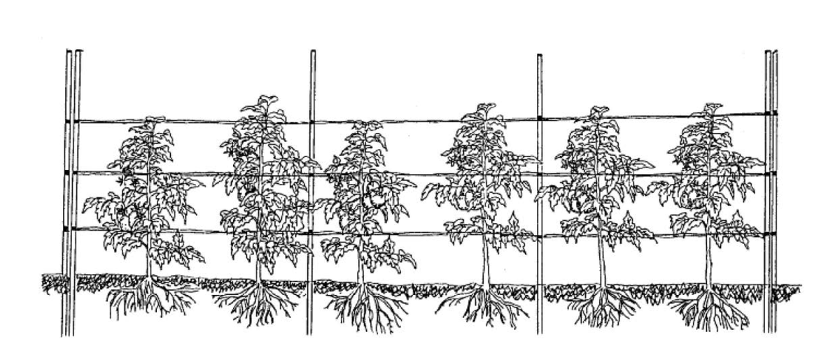 Florida weave system diagram