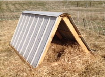  A-Frame Pig Shelter