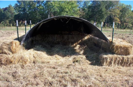 Rounded Pig Shelter
