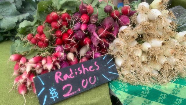 spring radishes
