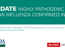 teal and white text announcement of avian influenza in Sourth Carolina