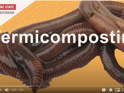 Earthworms on orange background with text "Vermicomposting" and NC State Extension logo