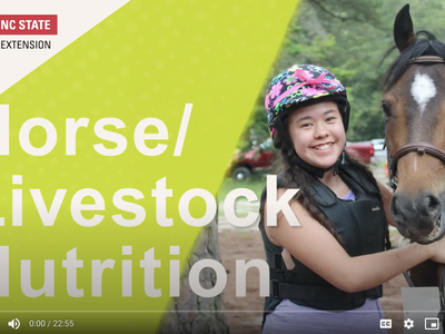 Girl in riding helmet hugging a horse; text "Horse/Livestock Nutrition" and NC State Extension logo