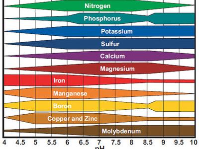 Availability of different soil nutrients at varying pH levels. 
