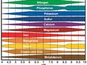 Availability of different soil nutrients at varying pH levels. 