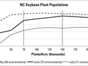 Graph of the lack of effect of plant populations on soybean yield.