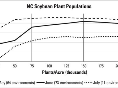 Graph of the lack of effect of plant populations on soybean yield.