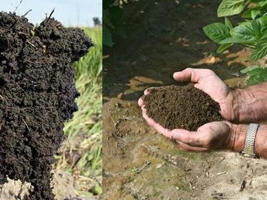 granular soil structure 