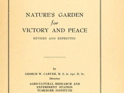 victory garden flyer