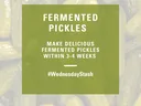 FERMENTED PICKLES poster: "Make delicious fermented pickles within 3-4 weeks" #WednesdayStash