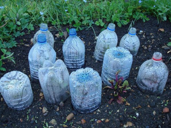 Garden cloches