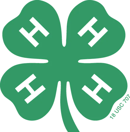 4-H Clover