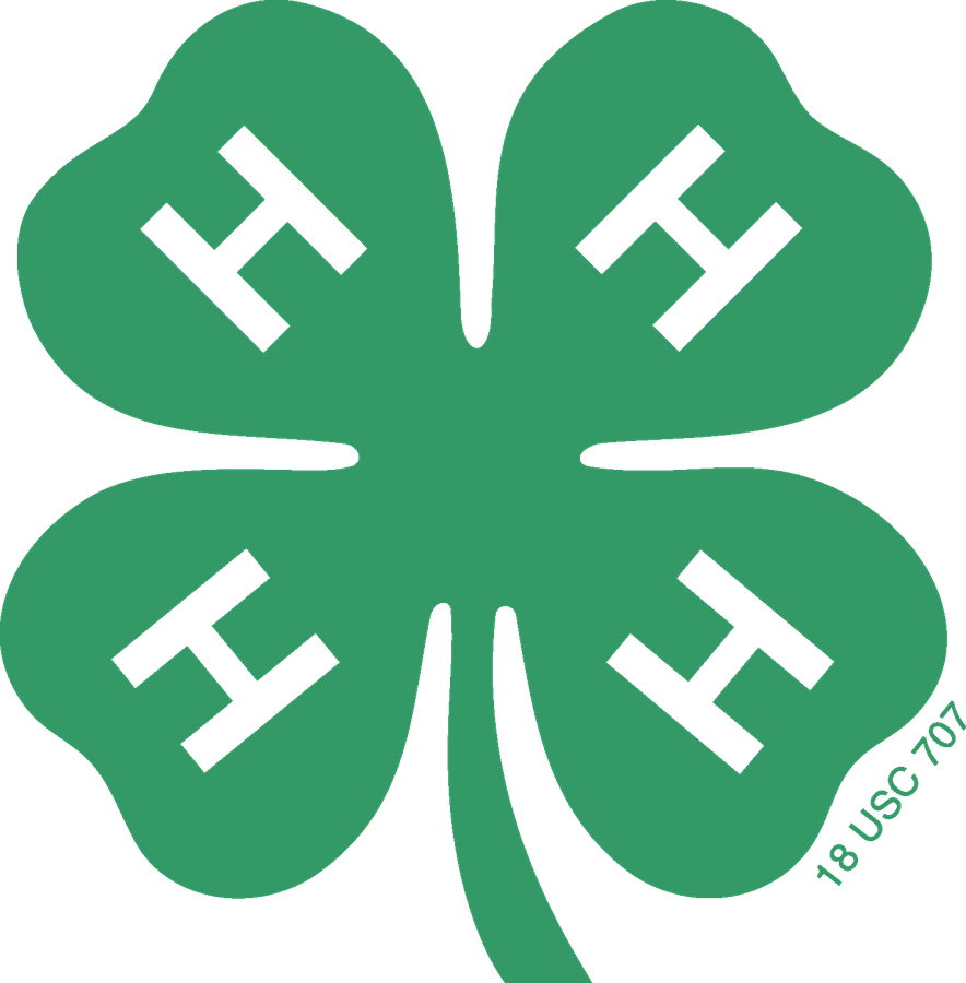4-H Clover