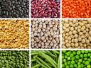3x3 grid of assorted beans and legumes