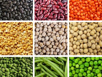 3x3 grid of assorted beans and legumes