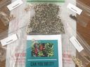 seeds packets and can you dig it brochure