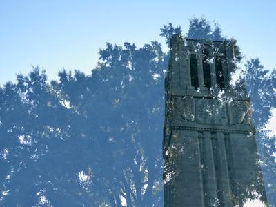 Double exposure of the NC State University Belltower and trees.