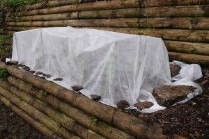 Covered plant