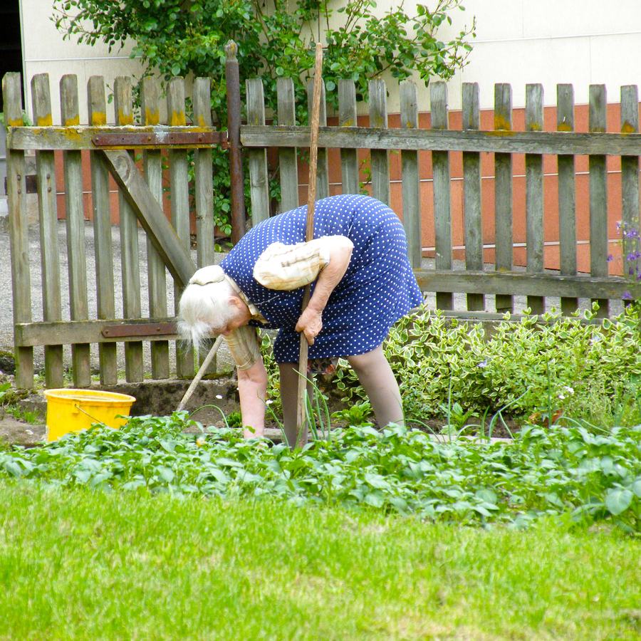 Woman in garden