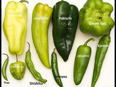 Assorted green peppers labeled: Banana, Anaheim, Poblano, Green Bell, Thai, Jamaican, Shishito, Serrano, Jalapeno, Korean
