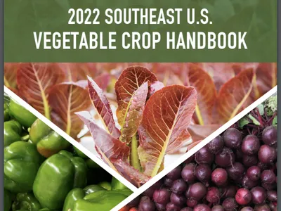 2022 Southeast U.S. Vegetable Crop Handbook; assorted vegetables; Vegetable Growers News