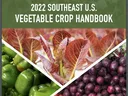 2022 Southeast U.S. Vegetable Crop Handbook; assorted vegetables; Vegetable Growers News