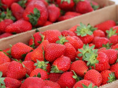 Boxes of fresh strawberries on a table