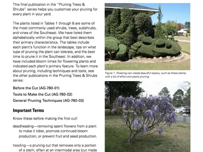 Pruning Specific Plants